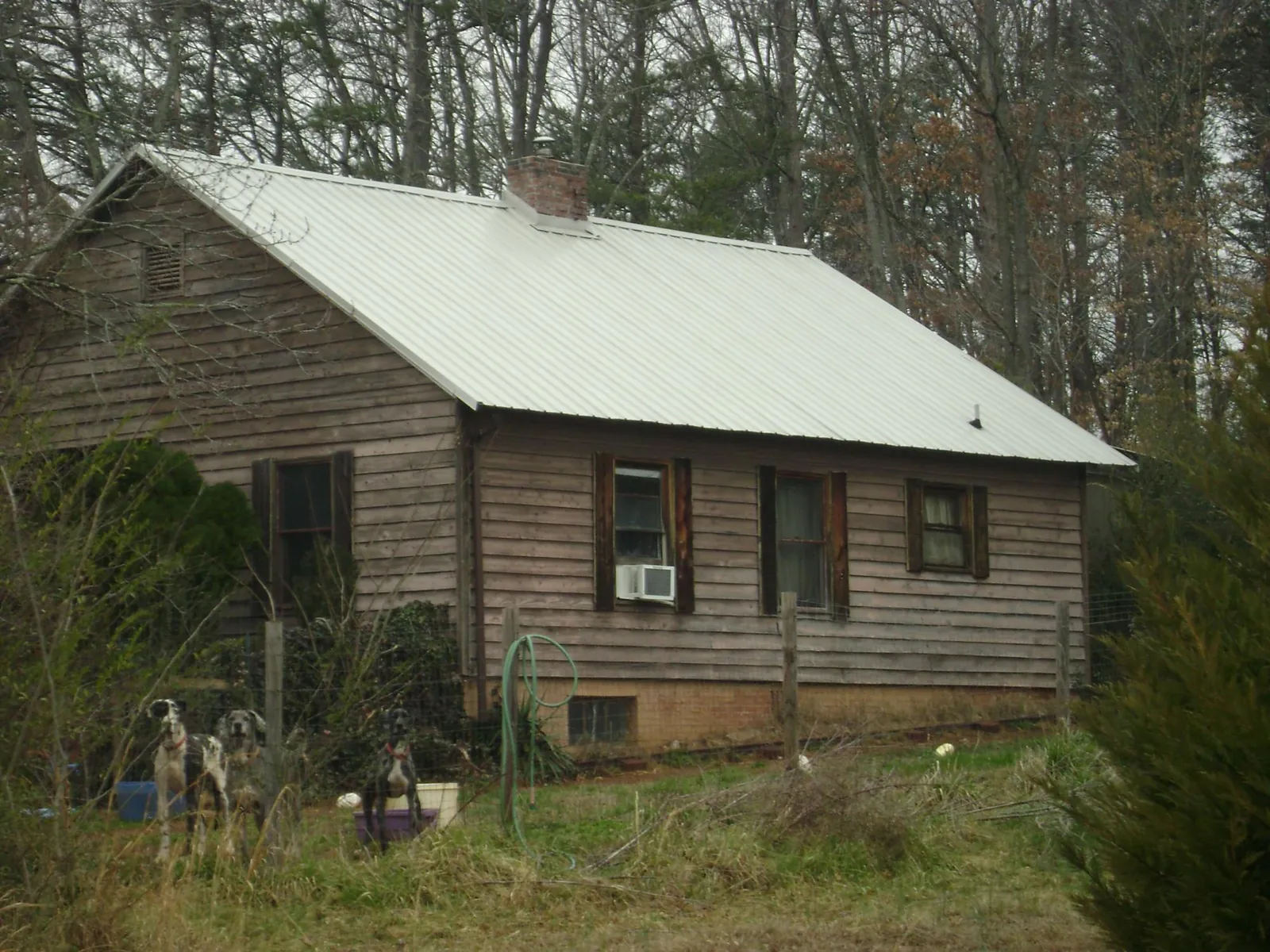 White metal roof on an old wood sided farmhouse, from a Metal Roof Installation job in Pewamo